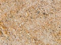 Abstract sawdust or wood dust texture background. Close up top view of dry wood shavings, industry concept Royalty Free Stock Photo