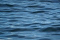 Abstract scene of blue sea water ripple freezing motion with sunlight white reflection, gradient shade and shadow, selective focus Royalty Free Stock Photo