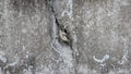 Abstract scratch grunge gray concrete wall texture with peeling paint Royalty Free Stock Photo