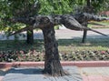 Kazakhstan, Qostanai, August 1, 2022. Abstract bronze sculpture in the central park