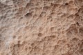 Abstract sea background and texture, coral imprint on the sand