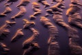 Abstract sea sand creations