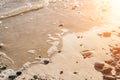 Abstract sea summer ocean sunset nature background. Small waves on golden water surface in motion blur with golden bokeh Royalty Free Stock Photo