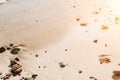 Abstract sea summer ocean sunset nature background. Small waves on golden water surface in motion blur with golden bokeh Royalty Free Stock Photo