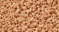 Organic Porous Brown Seamless Background Royalty Free Stock Photo