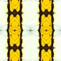 abstract seamless butterfly wing pattern Royalty Free Stock Photo
