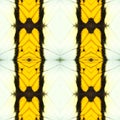 abstract seamless butterfly wing pattern