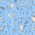 Abstract seamless floral pattern with tulips, leaves and herbs. Hand drawn black and white flowers on light blue Royalty Free Stock Photo