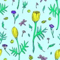 Abstract seamless floral pattern with tulips, leaves and herbs. Hand drawn colored flowers on light blue background Royalty Free Stock Photo