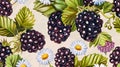 Abstract seamless pattern with blackberry with green leaves and daisies isolated on white background. Close-up. Royalty Free Stock Photo