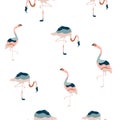 Abstract seamless pattern with colorful flamingo birds Royalty Free Stock Photo