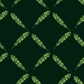 Abstract seamless pattern with green geometric botany tropic leaves print. Black background. Simple style Royalty Free Stock Photo