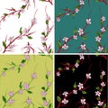 Abstract seamless pattern with pink sakura on background for decorative design. Chinese template. Seamless flower