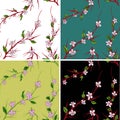 Abstract seamless pattern with pink sakura on background for decorative design. Chinese template. Seamless flower pattern. Sakura