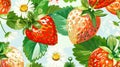 Abstract seamless pattern with red strawberry with green leaves and daisies isolated on white background. Close-up. Royalty Free Stock Photo