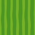 Abstract seamless pattern of smooth vertical green lines, watermelon texture