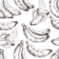 Abstract seamless pattern, wallpaper, background, backdrop. White with black hand drawn banana. Vector sketch, tropical