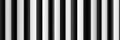 abstract seamless texture pattern with black white zebra stripes on monochrome background Royalty Free Stock Photo