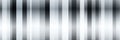 abstract seamless texture pattern with black white zebra stripes on monochrome background Royalty Free Stock Photo