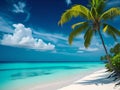 Tropical beach background