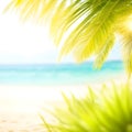 Abstract seascape with palm tree, tropical beach background. blur bokeh light of calm sea and sky. summer vacation background Royalty Free Stock Photo