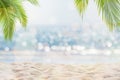 Abstract seascape with palm tree, tropical beach background Royalty Free Stock Photo