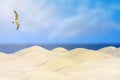 Abstract seascape tropical beach background, blur bokeh light of calm sea, sky, rays of the sun and a seagull Royalty Free Stock Photo