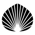 Abstract seashell vector icon design. Shell flat icon.