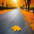 abstract seasonal banner close up autumn street covered with dry orange