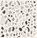 Abstract seasonal flowers and leaves doodles