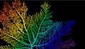 Abstract seaweed background. LGBT pride rainbow
