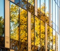 Abstract section of a modern building with a glass facade in which the sun is reflected