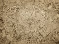 Abstract sepia background with balsa wood texture Royalty Free Stock Photo