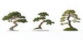 An abstract set of 3D Japanese green trees on a white background, suitable for visualizing architectural projects.