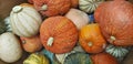 Abstract Several Seasonal Gourds Background