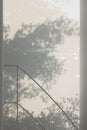 Abstract shadow background of leaves and branch tree from window curtain texture with handrail staircase Royalty Free Stock Photo