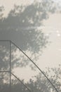 Abstract shadow background of leaves and branch tree from window curtain texture with handrail staircase