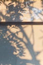 Abstract shadow background of natural leaves tree branch falling on window curtain texture. Royalty Free Stock Photo