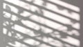 Abstract shadow of foliage and blinds background Royalty Free Stock Photo