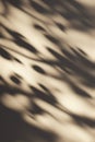 Abstract shadow lines, minimalist light pattern, serene design. Portrait Images Generative AI Royalty Free Stock Photo