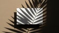 Abstract shadow of palm leaf on textured background with overlay Royalty Free Stock Photo