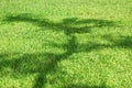 Abstract of shadow of tree with Nature Green grass field texture background Royalty Free Stock Photo