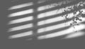 blur background. Abstract shadow of the window in morning light on white wall texture Royalty Free Stock Photo