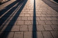 Abstract shadows of people walking in a street of the city. The sidewalk is sprinkled with granite crumb Royalty Free Stock Photo