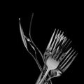 Abstract shapes with flatware