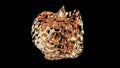 Abstract shell gold grid 3d