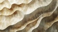 Abstract shell texture in soft warm tones