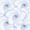 Abstract shells background