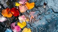 An abstract shot of petals floating in a spring puddle after the rain