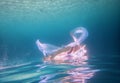 An abstract shot of a woman in the sea